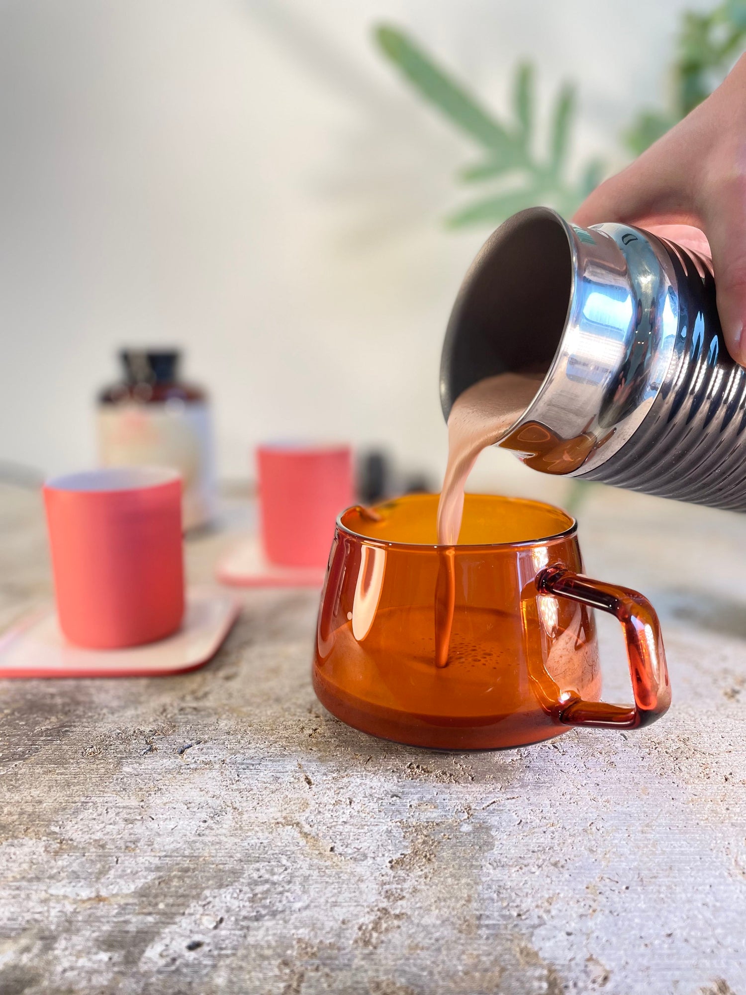 milk frother (heat & froth).