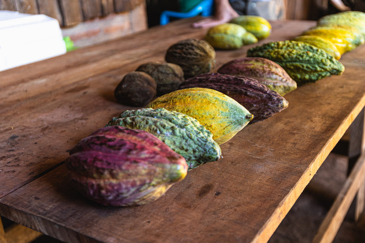 cobea . EL SALVADOR chiquihuat . complex & nutty