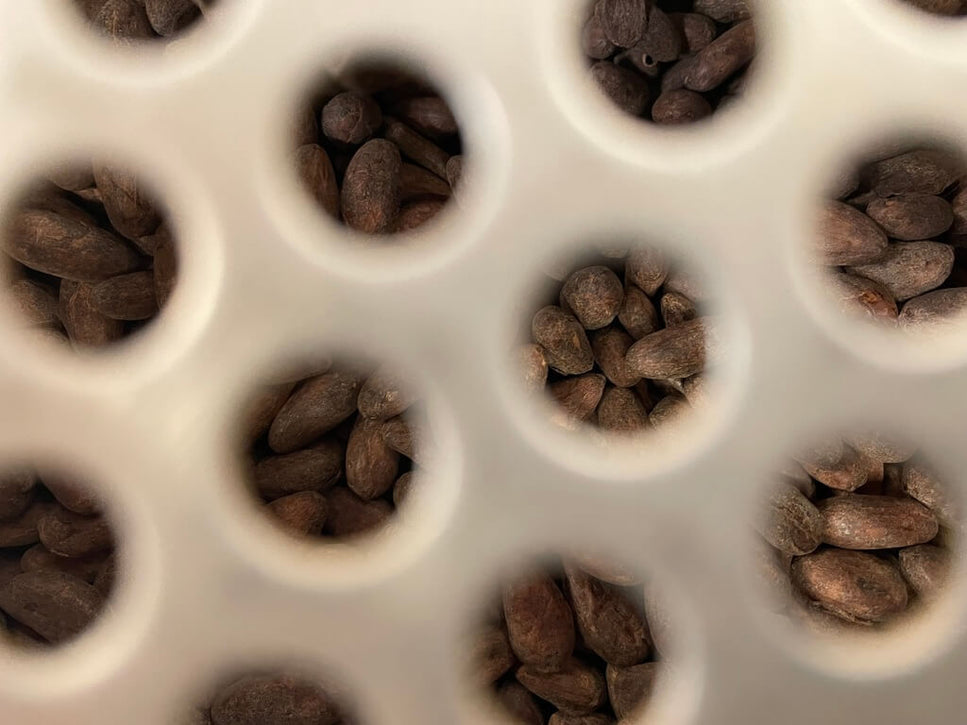 Cooling freshly roasted cacao beans